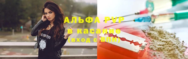ГАЛЛЮЦИНОГЕННЫЕ ГРИБЫ Сатка