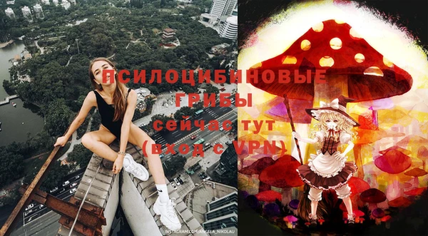 крисы Инсар