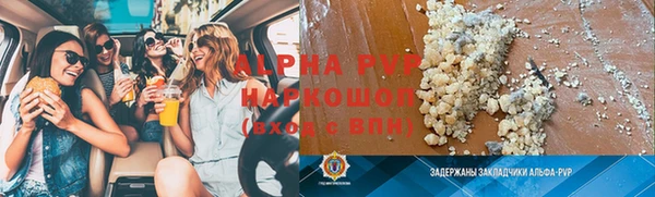 спайс Калининец