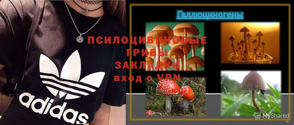 дурь Саяногорск