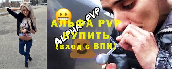 крисы Инсар